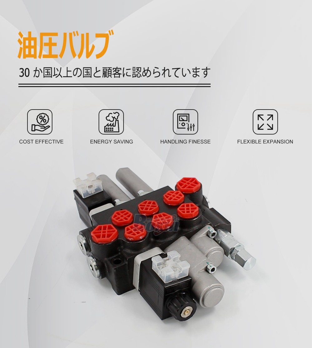 P40-BOT-BQTW1-DCOT Solenoid and Cable 3 Spool Monoblock Valve